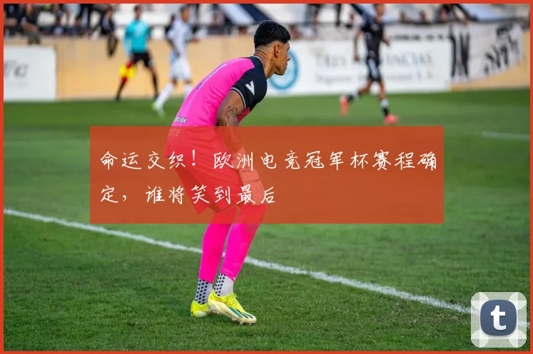 命运交织！欧洲电竞冠军杯赛程确定，谁将笑到最后