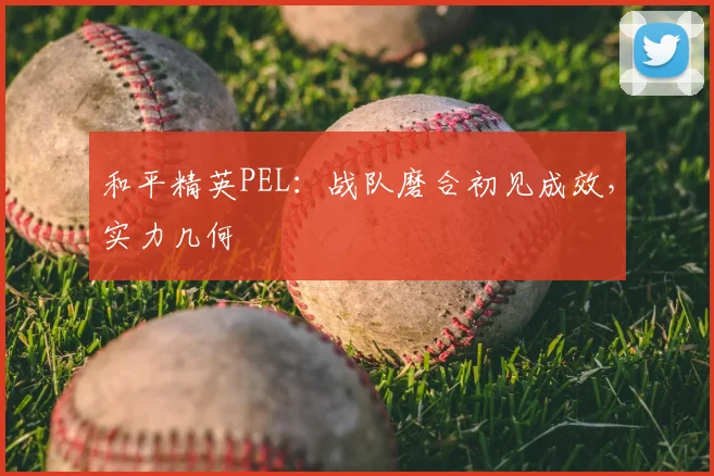 和平精英PEL:战队磨合初见成效,实力几何